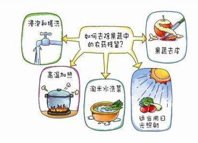 如何減少農(nóng)藥污染去除農(nóng)藥殘留？振華化工總結(jié)以下幾點(diǎn)分享給大家